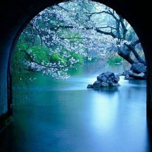 Meet your Posher, Andrew - Picture 1 of 1